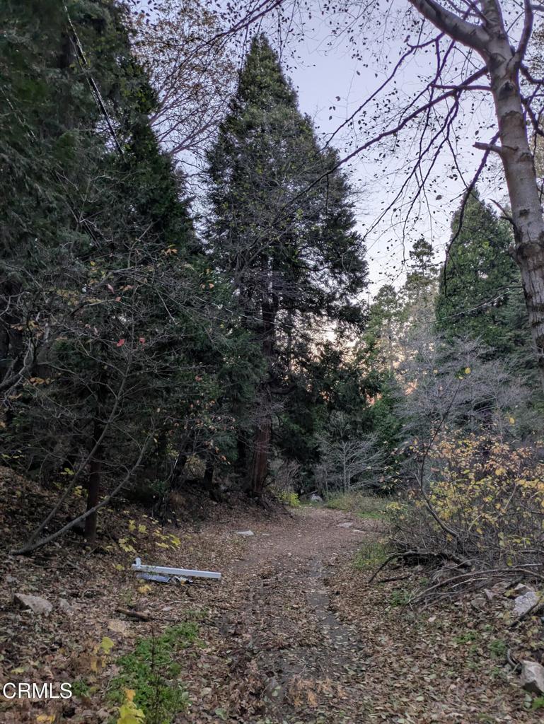 0 Fleming Creek Property Photo 8