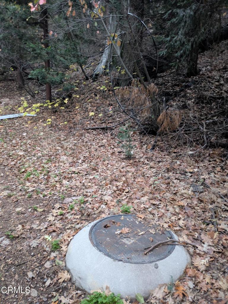 0 Fleming Creek Property Photo 9