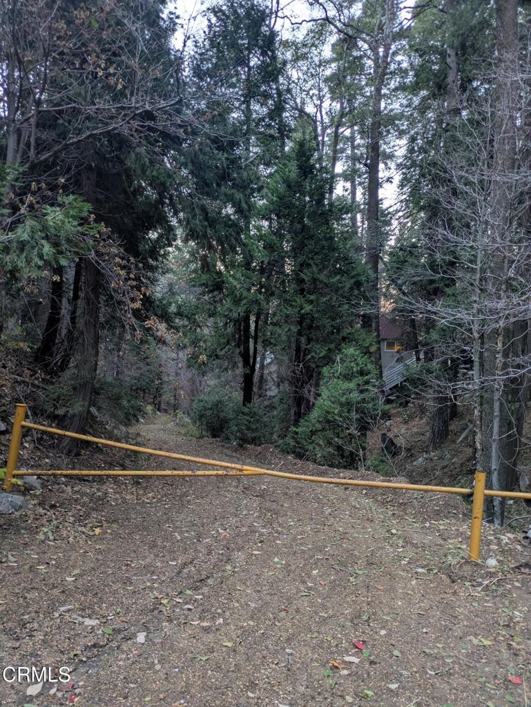 0 Fleming Creek Property Photo 13