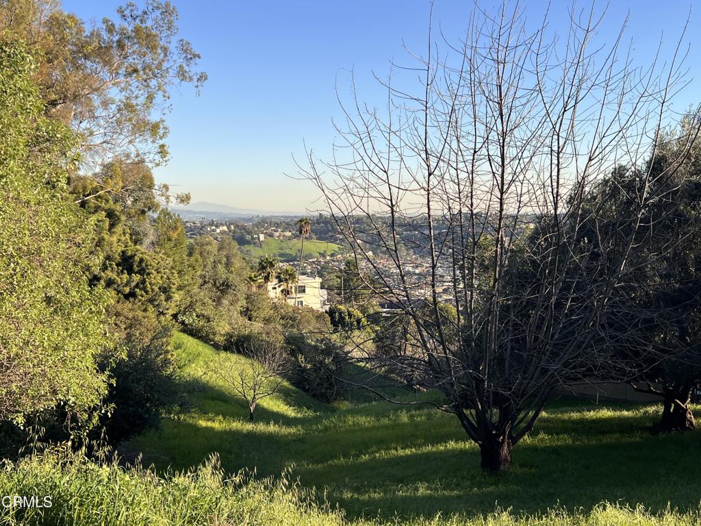 0 Rome Drive Property Photo 1