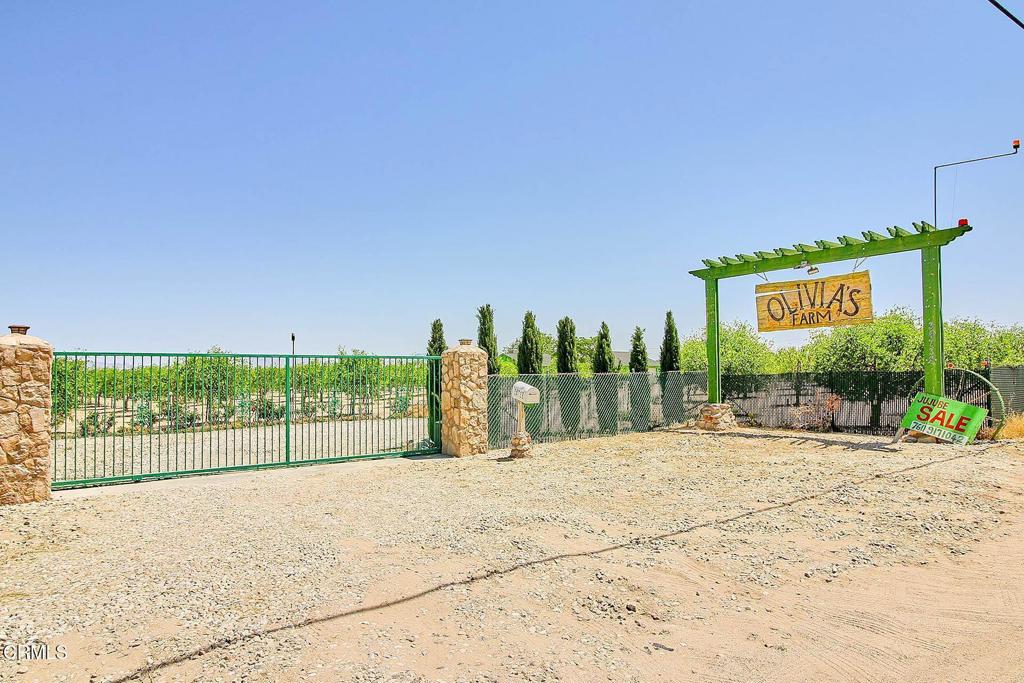 34738 Old Woman Springs Road Property Photo 3