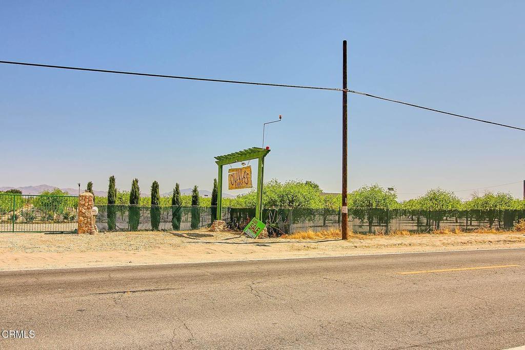 34738 Old Woman Springs Road Property Photo 14
