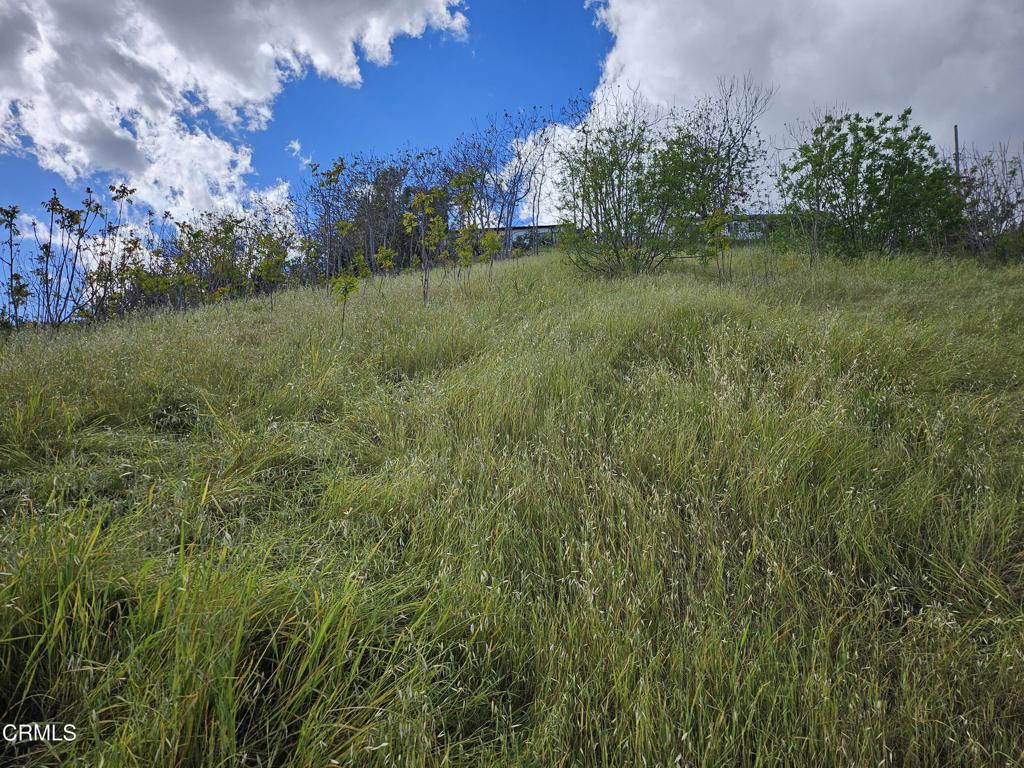 0 Forest Park Drive Property Photo 5