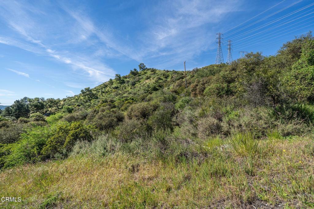 4700 Rising Hill Road Property Photo 6