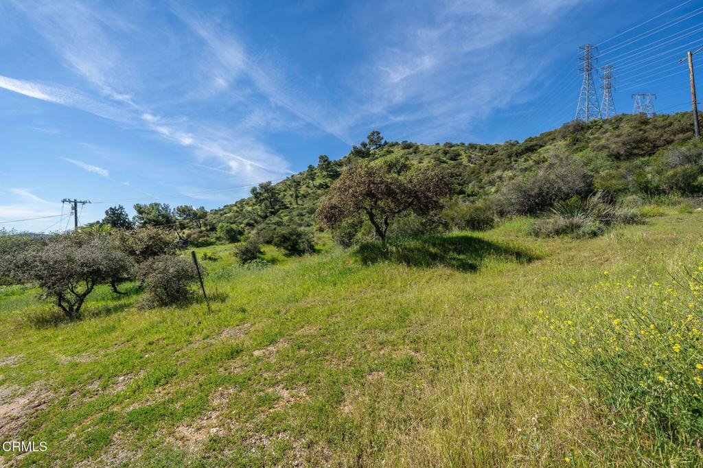 4700 Rising Hill Road Property Photo 7