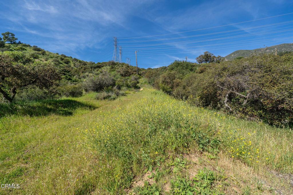 4700 Rising Hill Road Property Photo 8