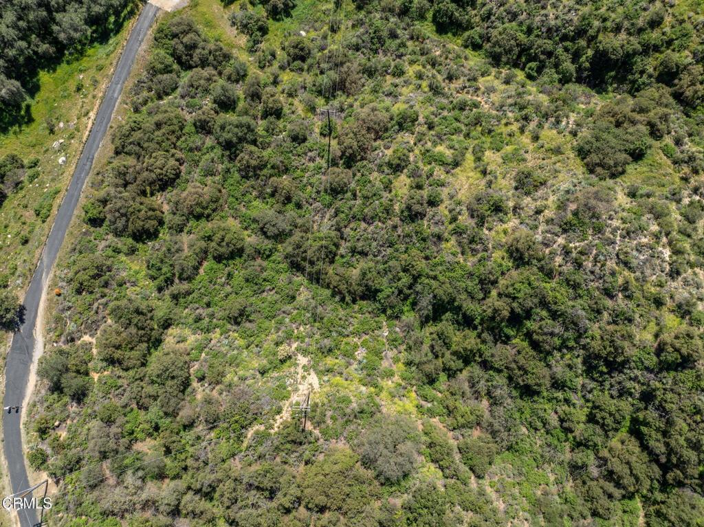 4700 Rising Hill Road Property Photo 31