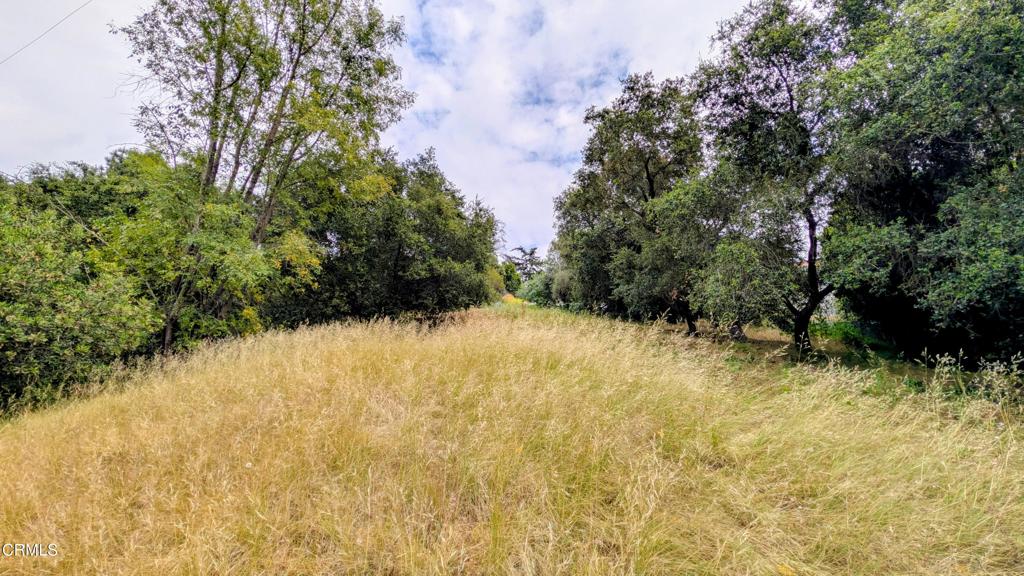 3530 N Knoll Drive Property Photo 3