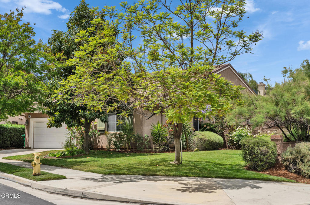 24889 Ashtree Court Property Photo 4