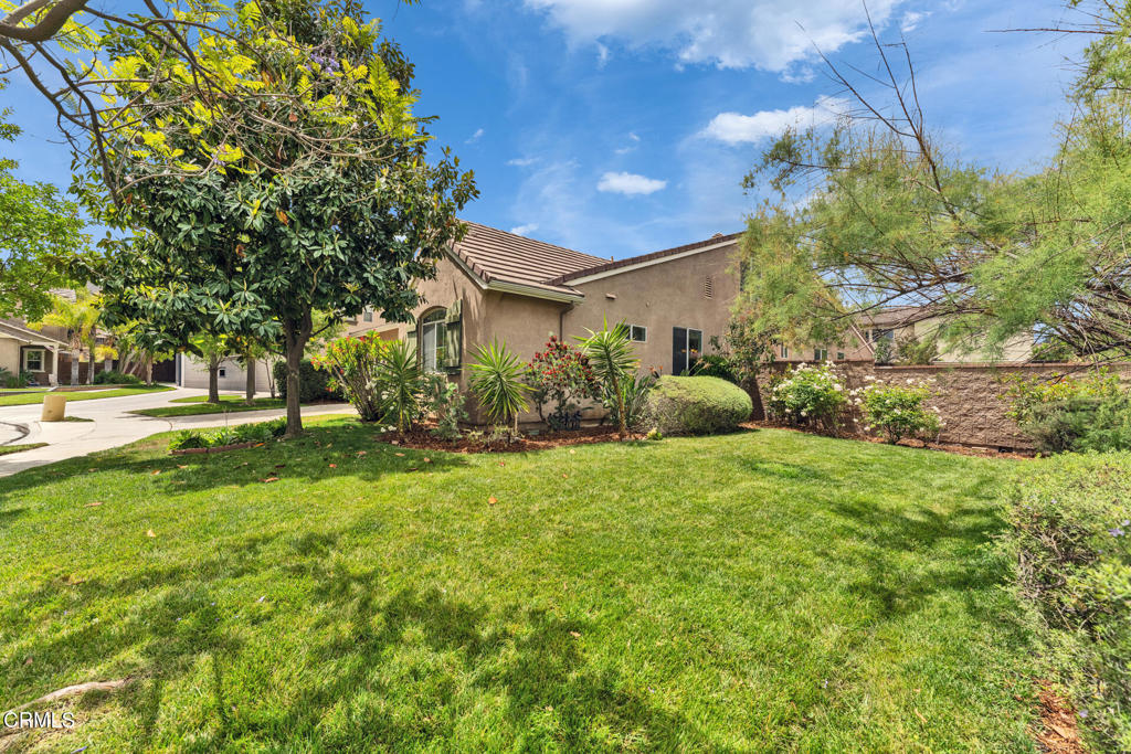 24889 Ashtree Court Property Photo 5
