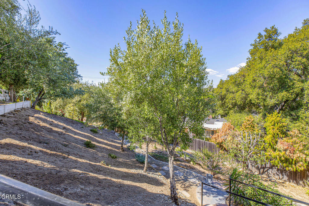 10272 Willow Springs Lane Property Photo 41