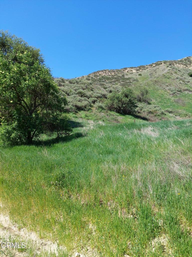 0 Loma Verde Mountainway Property Photo 5