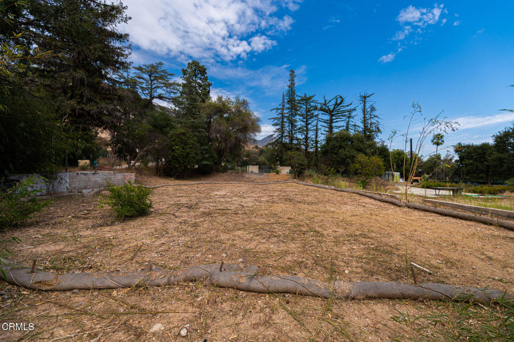3041 Via Maderas Street Property Photo 4
