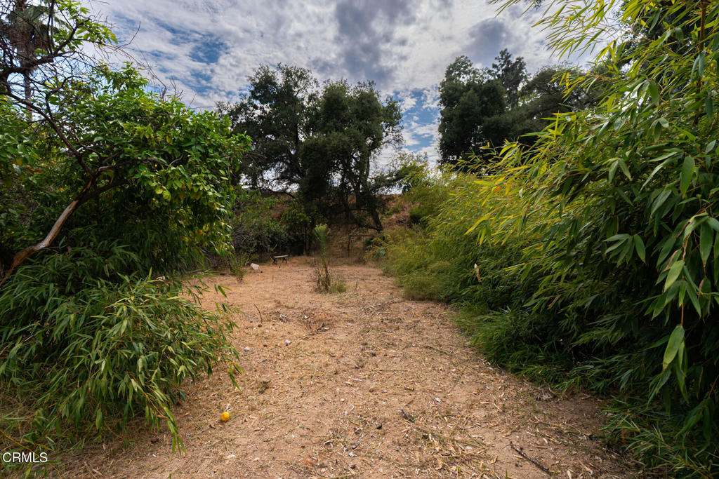 3041 Via Maderas Street Property Photo 13