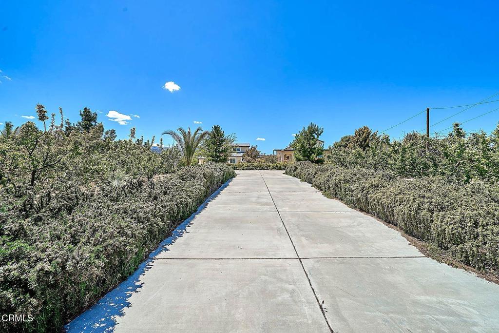 9020 Pionero Road Property Photo 42