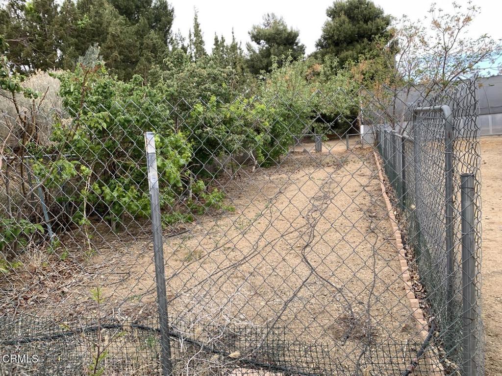 9020 Pionero Road Property Photo 62
