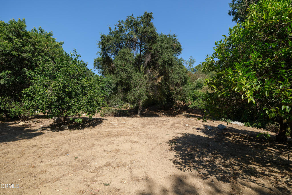 3273 New York Drive Property Photo 7