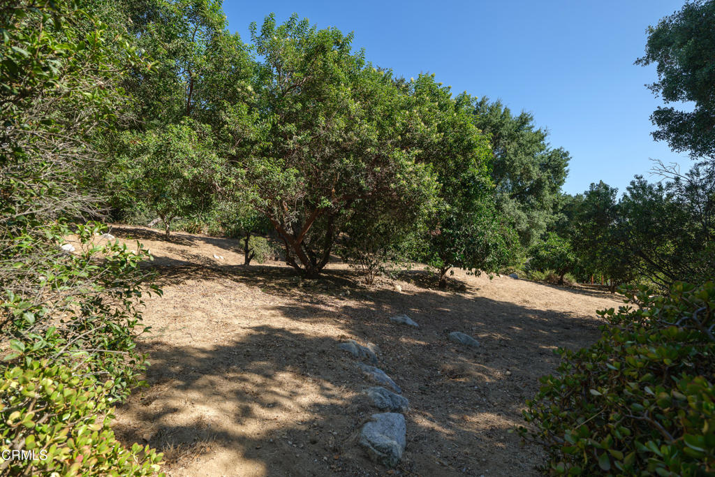 3273 New York Drive Property Photo 8