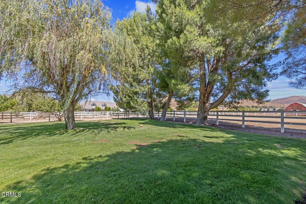 2133 1/2 Carson Mesa Road Property Photo 56