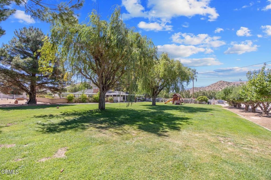 2133 1/2 Carson Mesa Road Property Photo 58