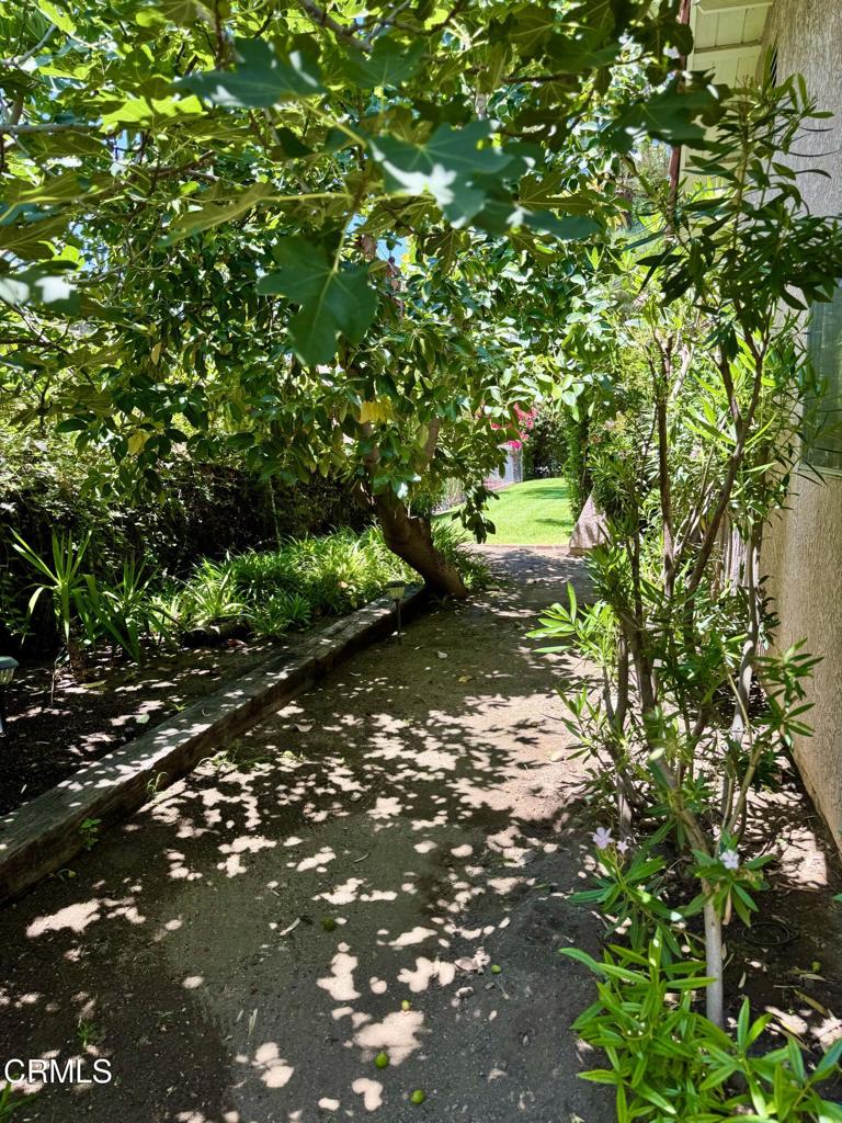 910 Claraday Street Property Photo 18
