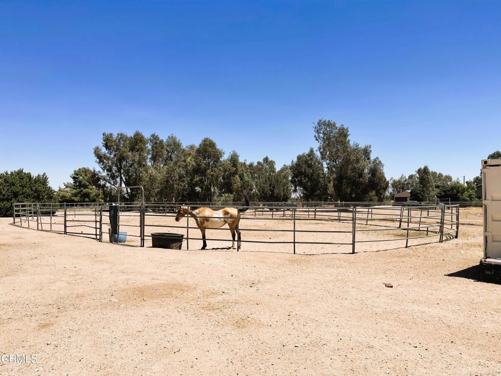6877 Foley Road Property Photo 32