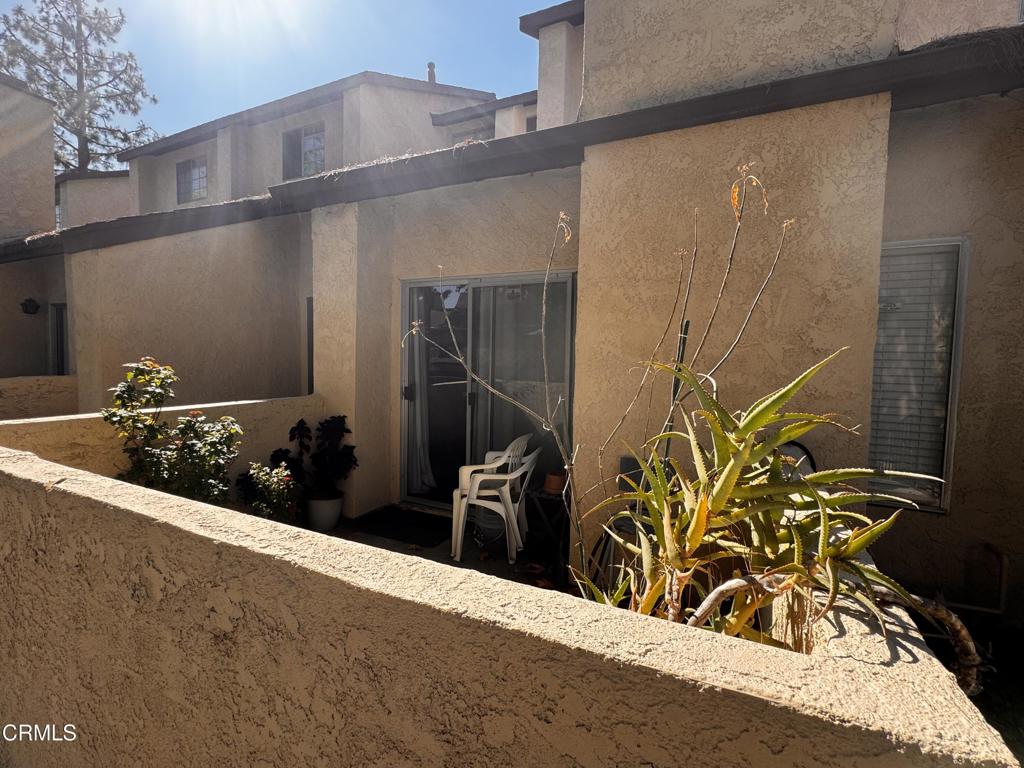 2214 Calle Jalapa Property Photo 3