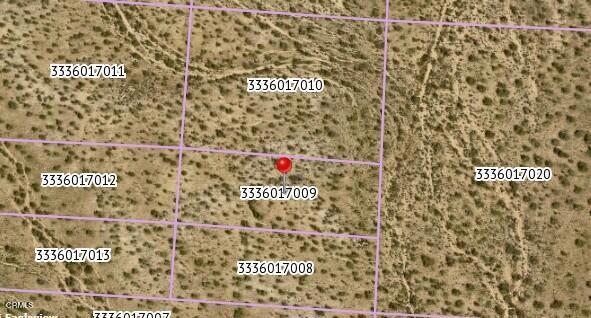 238 Ste Property Photo 3
