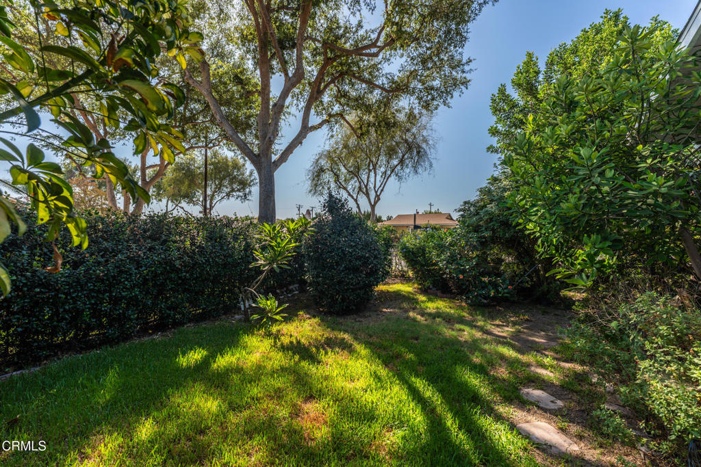 10435 Asher Street Property Photo 22