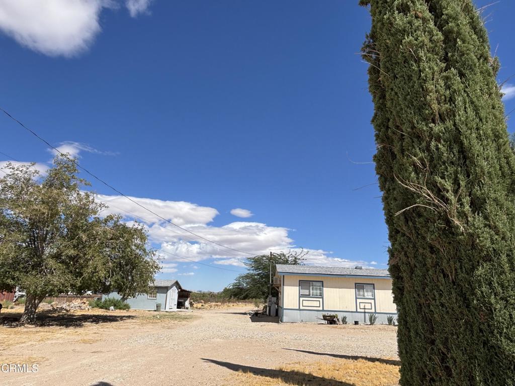 9927 Custer Avenue Property Photo 6