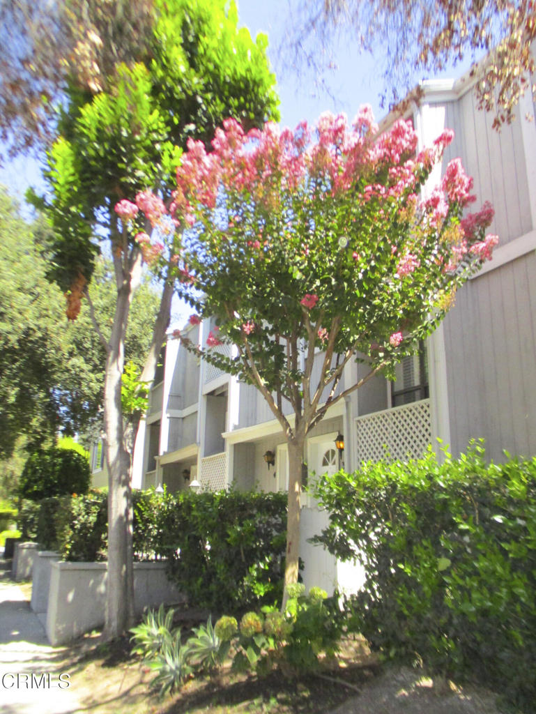 965 E Del Mar Boulevard 3 Property Photo 2