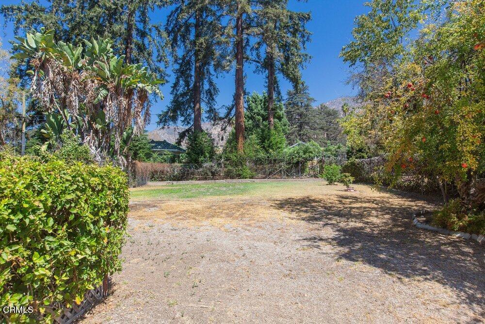 1565 Homewood Drive Property Photo 14