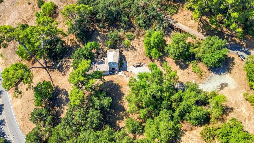 12211 Forest Trail Property Photo 2