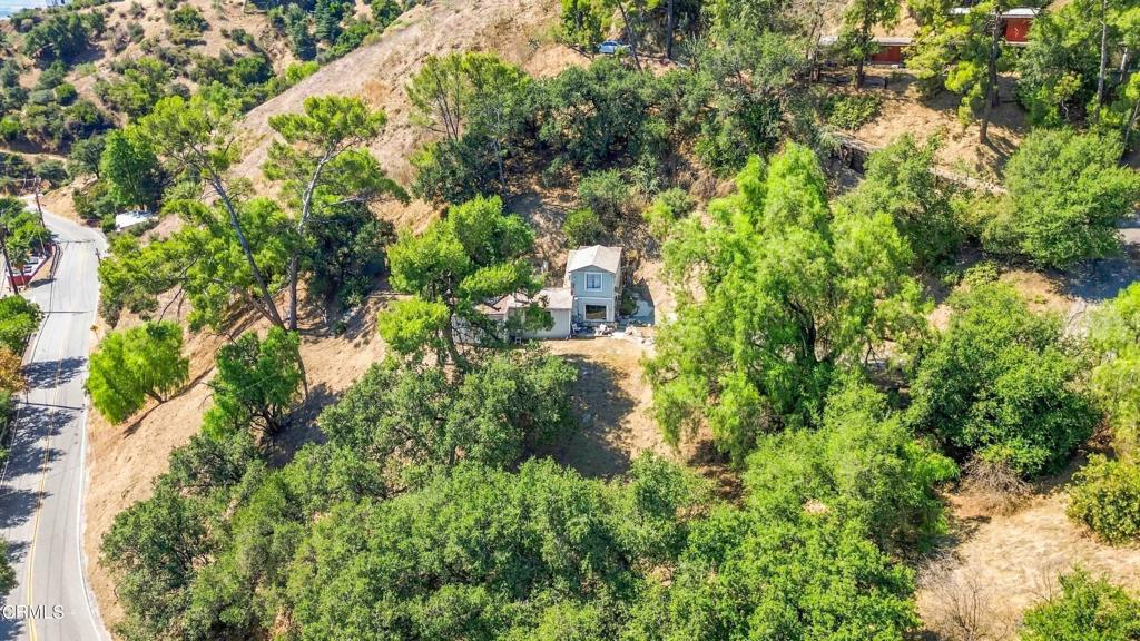 12211 Forest Trail Property Photo 3