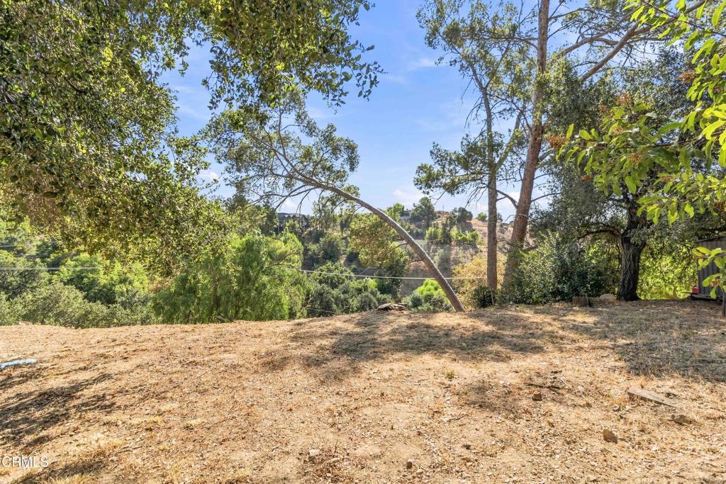 12211 Forest Trail Property Photo 21