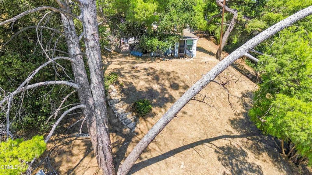 12211 Forest Trail Property Photo 22