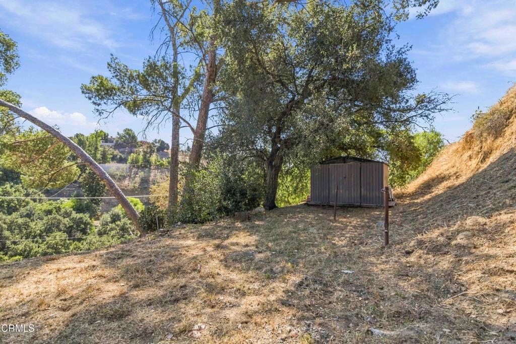 12211 Forest Trail Property Photo 23