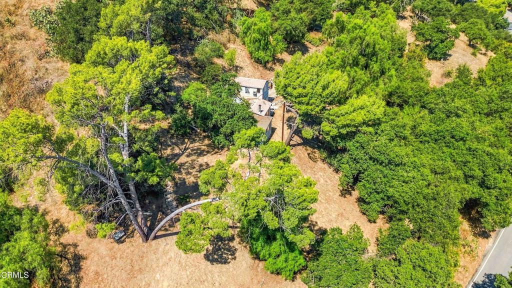 12211 Forest Trail Property Photo 24
