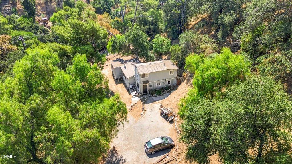 12211 Forest Trail Property Photo 26