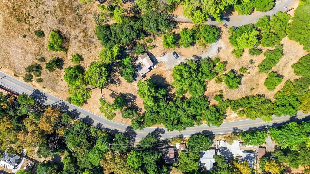 12211 Forest Trail Property Photo 29