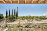9975 Custer Avenue Property Photo 28