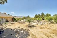 9975 Custer Avenue Property Photo 43