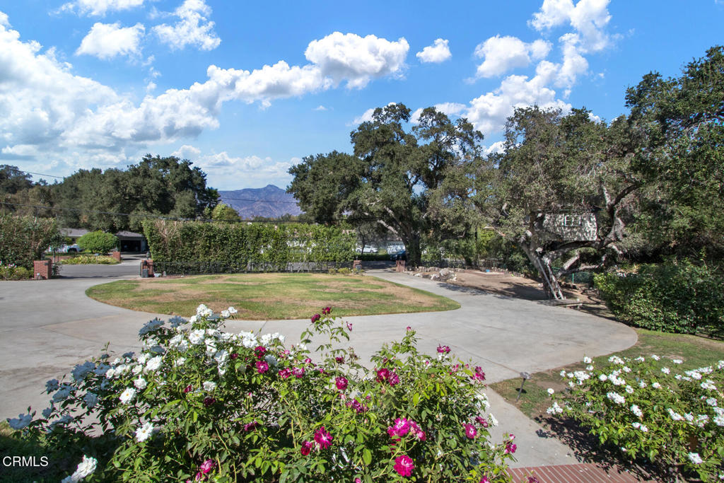 3390 Lombardy Road Property Photo 4