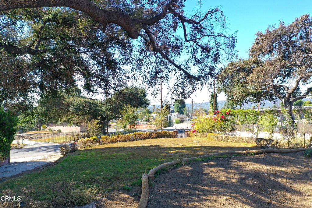 1085 Rubio Street Property Photo 19