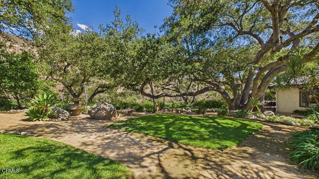 2519 Canyon View Lane Property Photo 47