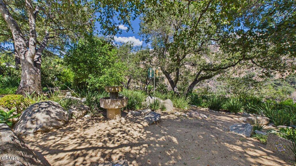 2519 Canyon View Lane Property Photo 48