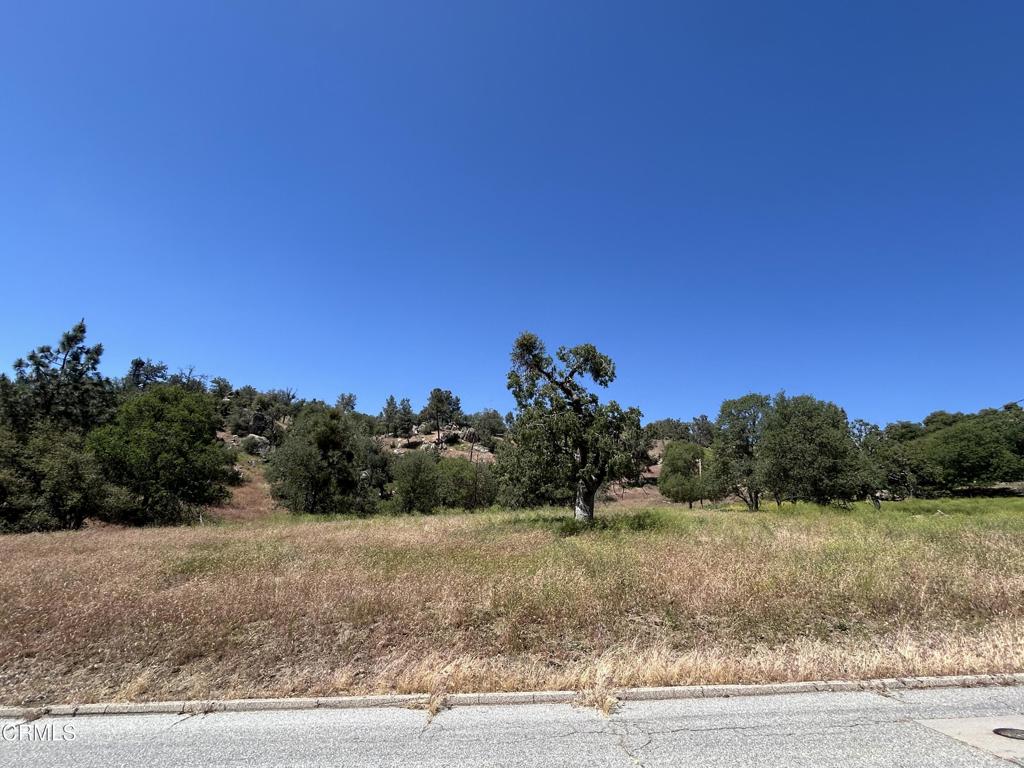0 Jacks Hill Road Property Photo 1