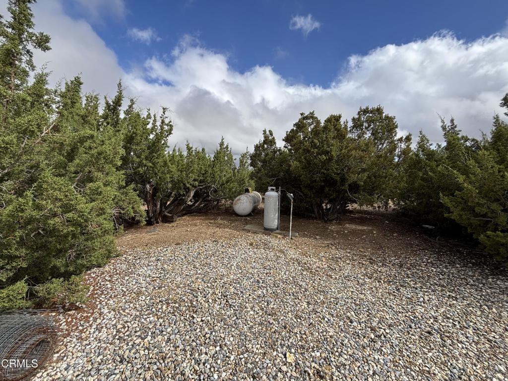 1631 Hollister Road Property Photo 7