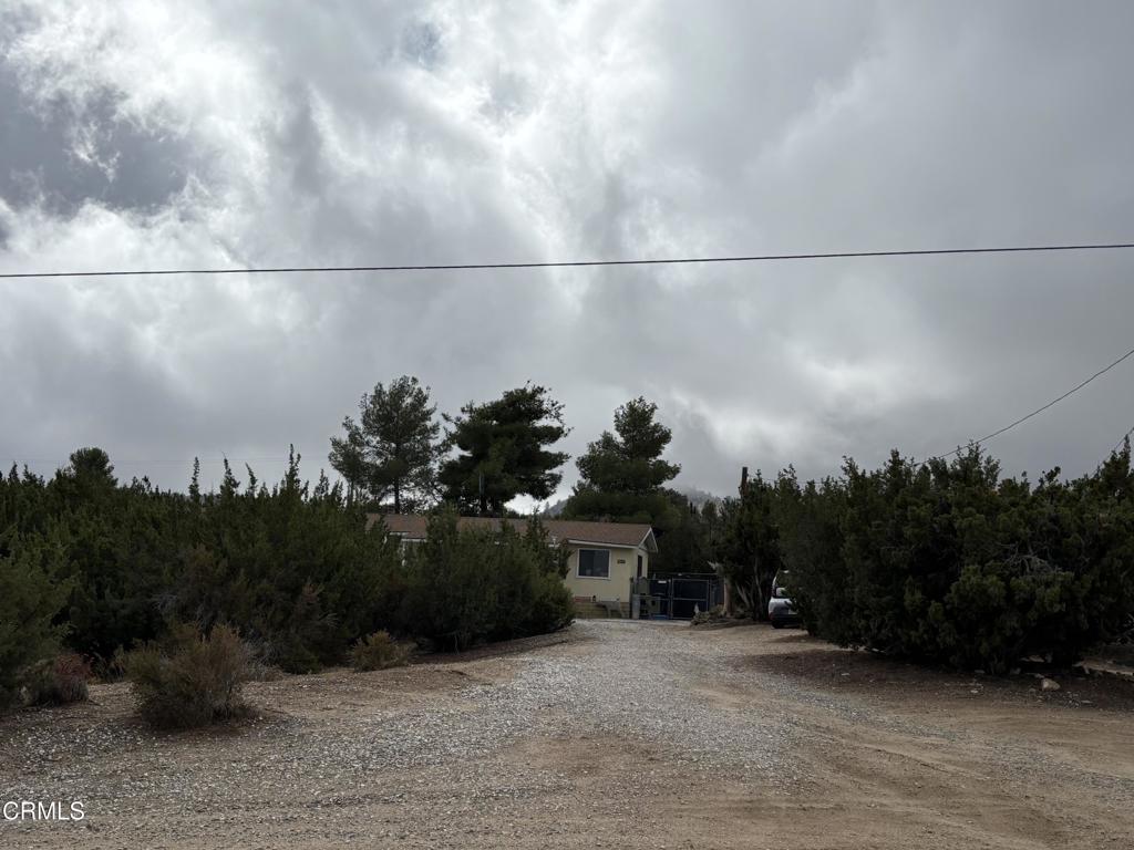 1631 Hollister Road Property Photo 11