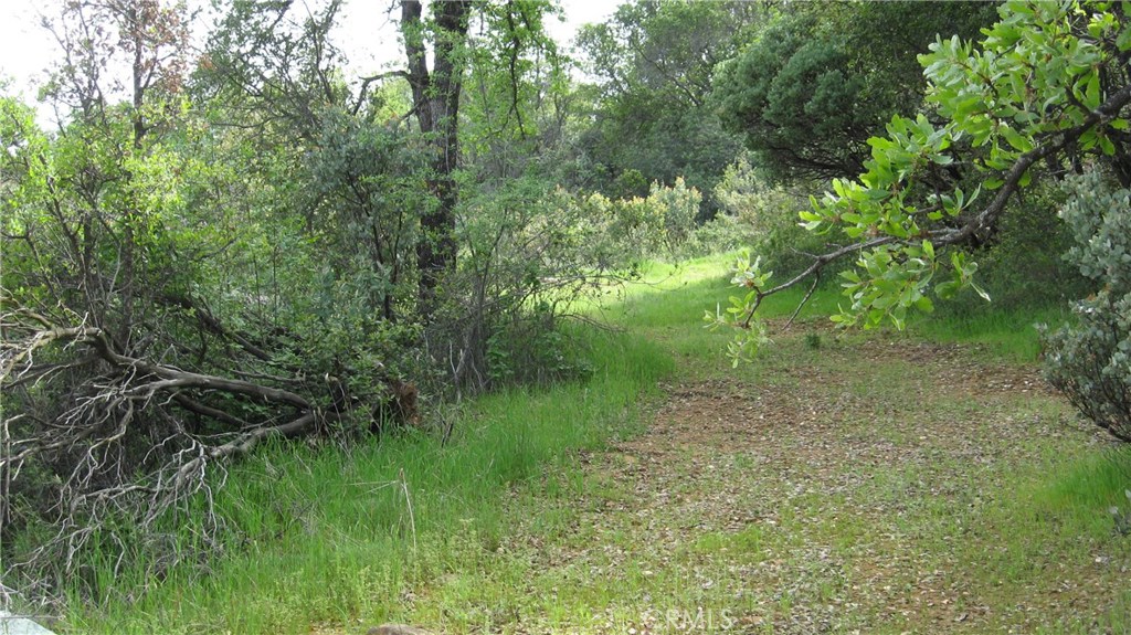 0 Sugar Pine Property Photo 2